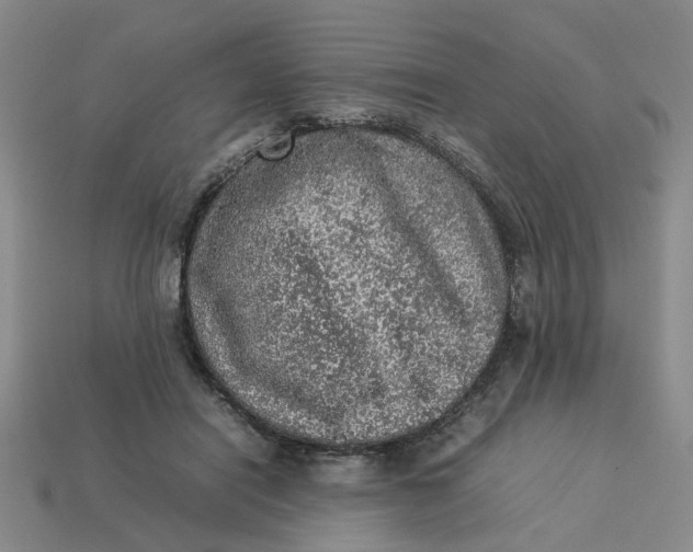 X0000113310454200910051108