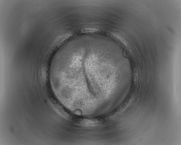 X0000113310455200910051108