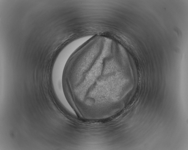 X0000113310456200910051108