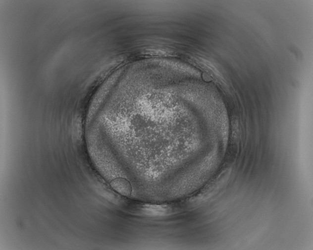 X0000113310457200910051108