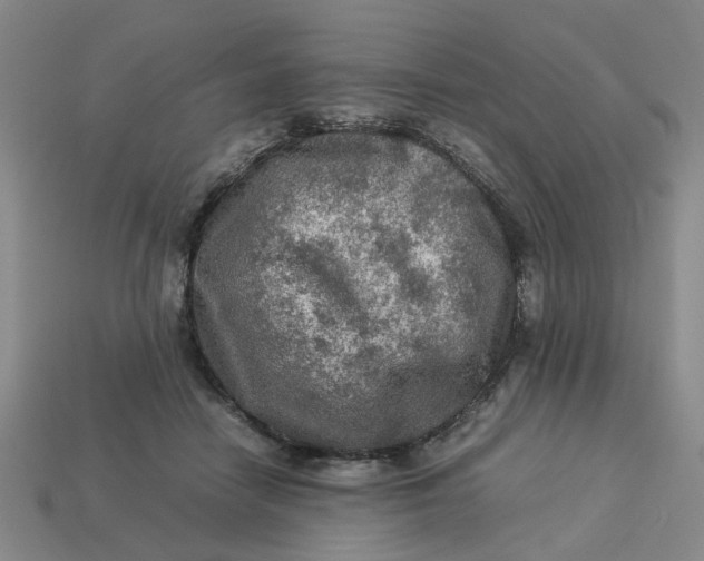 X0000113310458200910051108