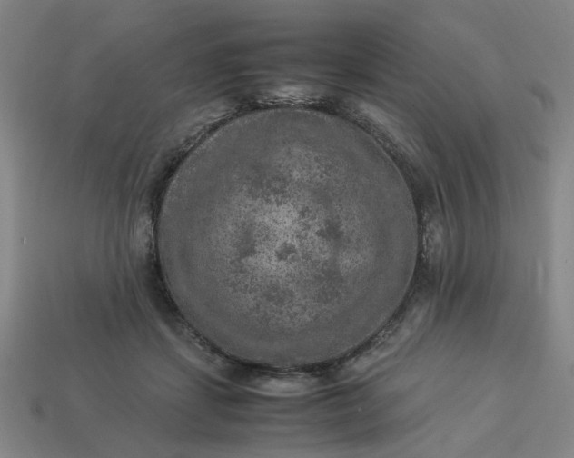 X0000113310459200910051108