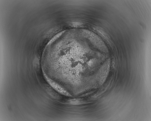 X0000113310461200910051108