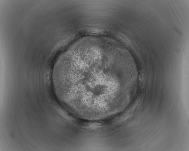 X0000113310462200910051108