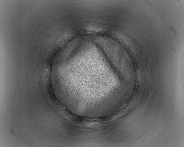 X0000113310463200910051108