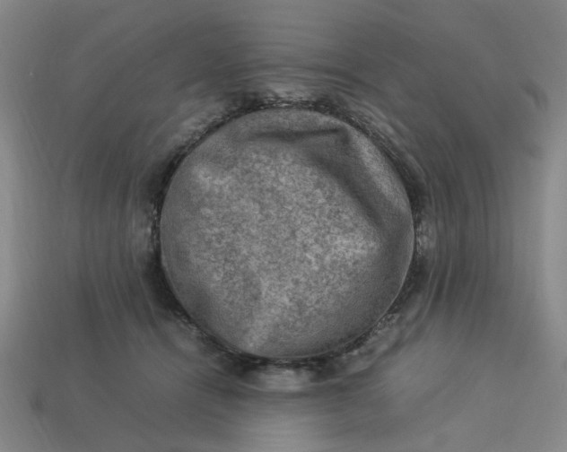 X0000113310464200910051108