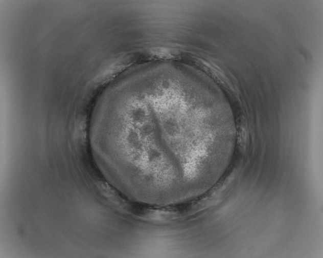 X0000113310466200910051108