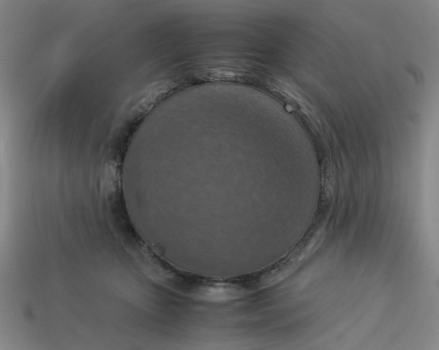 X0000113310467200910051108