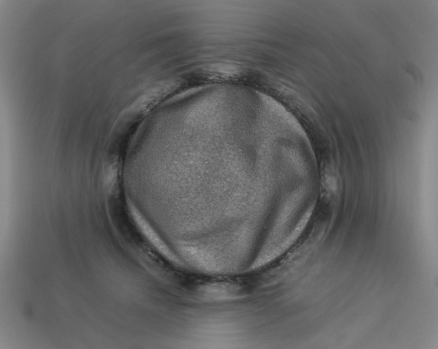 X0000113310468200910051108