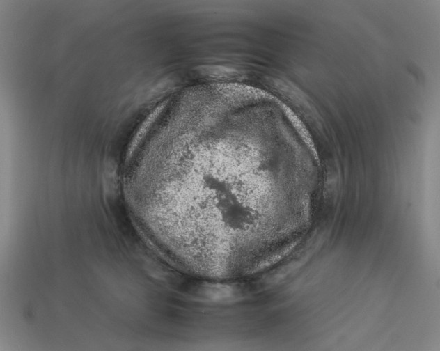 X0000113310469200910051108