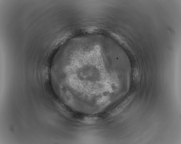 X0000113310470200910051108