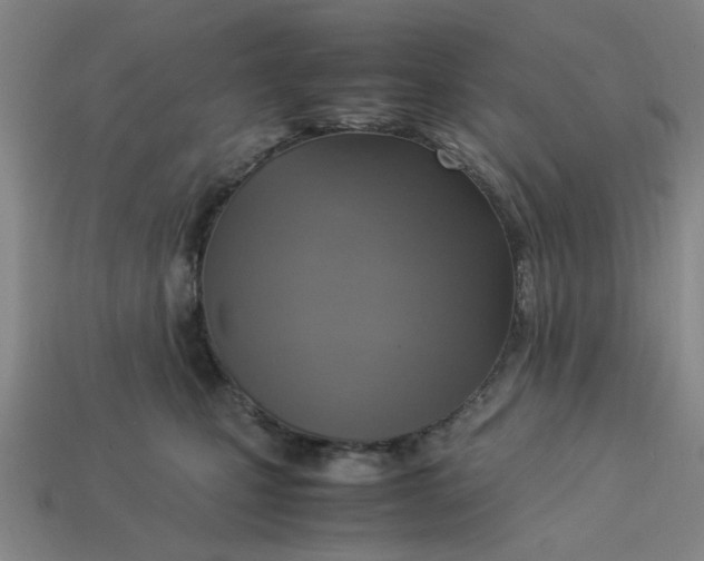 X0000113310471200910051108