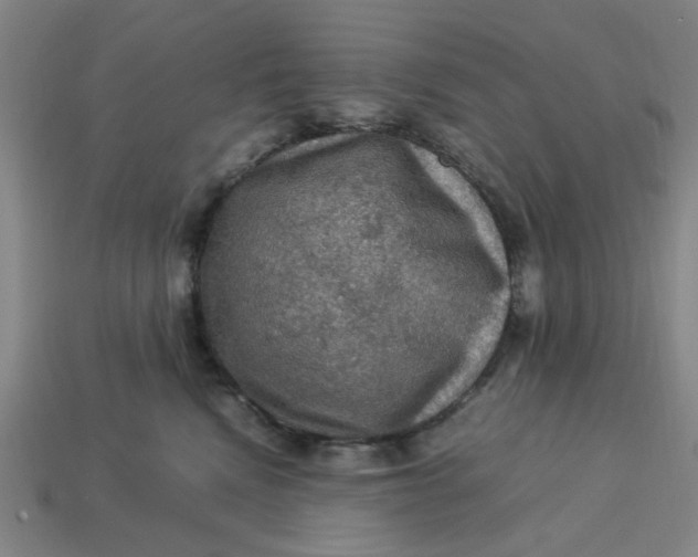 X0000113310472200910051108