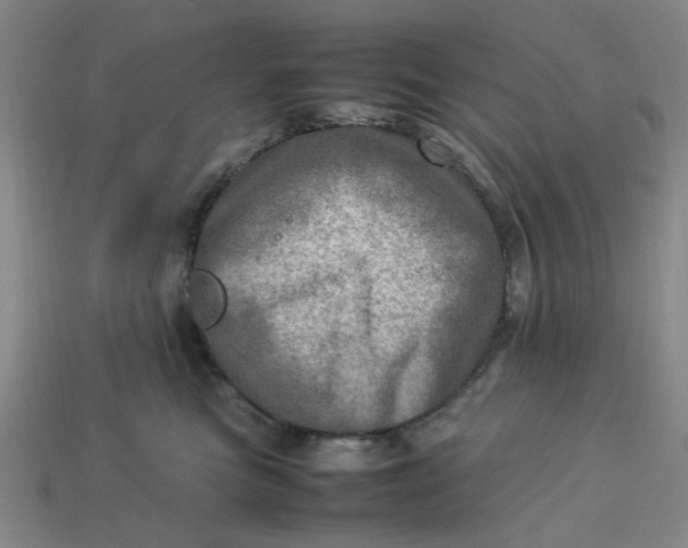 X0000113310473200910051108