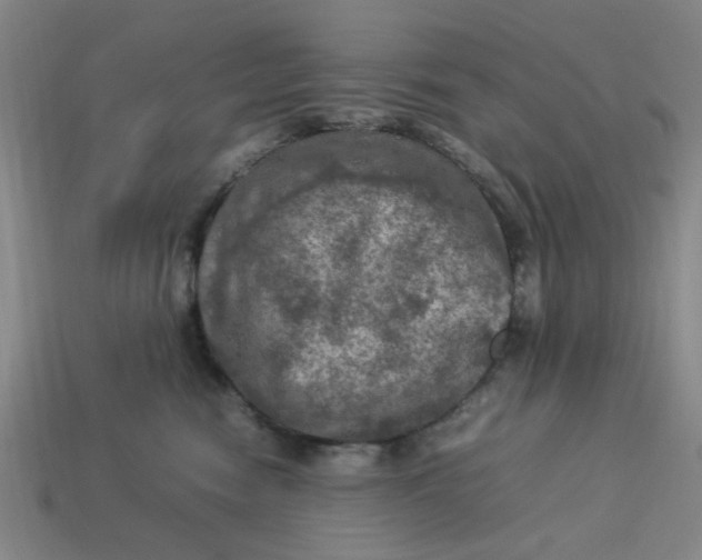 X0000113310474200910051108