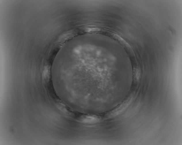 X0000113310475200910051108