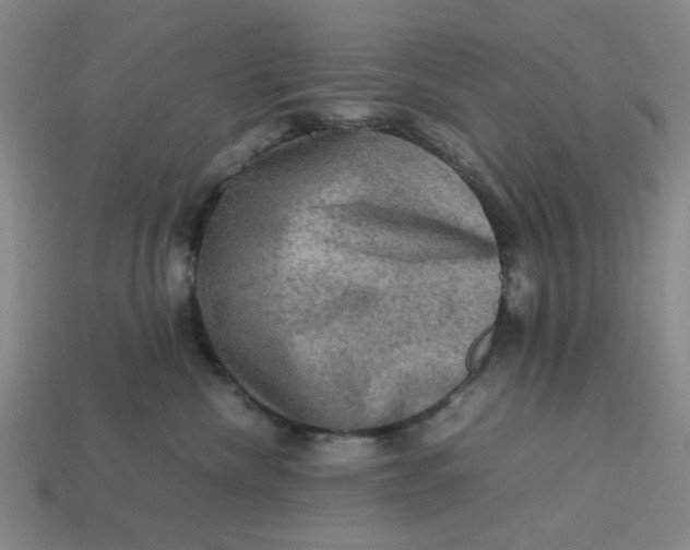 X0000113310476200910051108