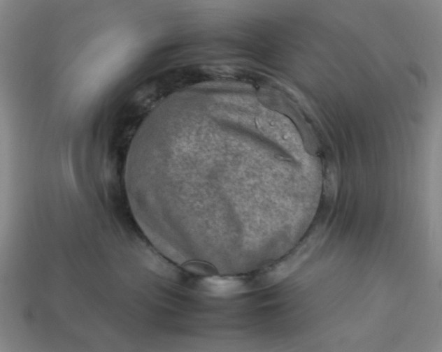 X0000113310477200910051108