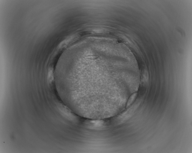 X0000113310478200910051108