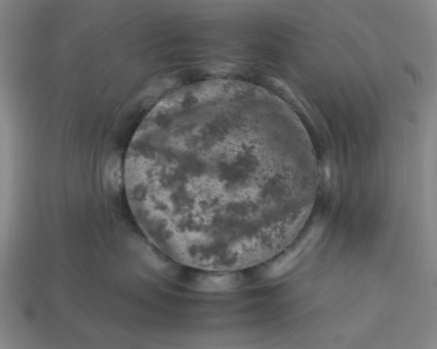 X0000113310479200910051108