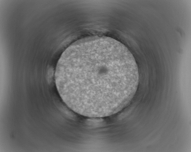 X0000113310480200910051108