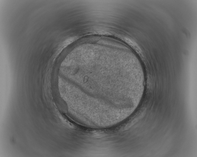 X0000113310481200910051107