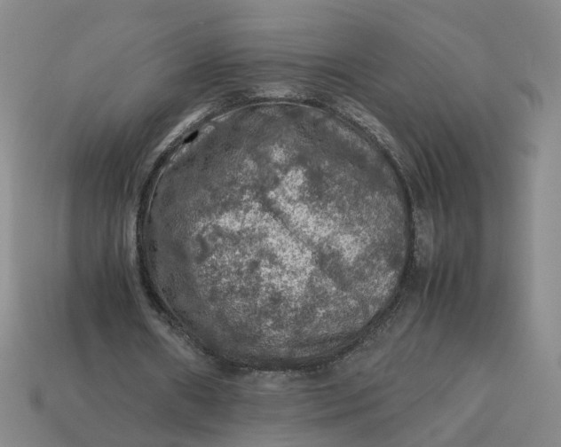 X0000113310482200910051107