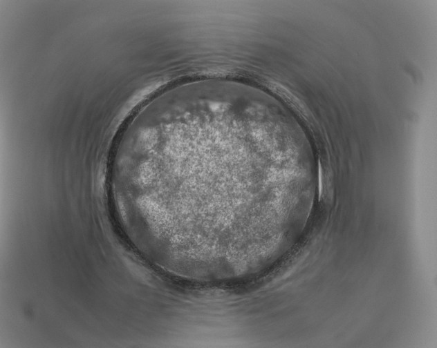 X0000113310483200910051107