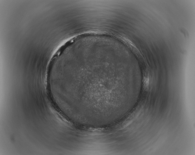 X0000113310484200910051107