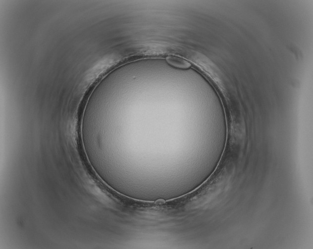 X0000113310485200910051107