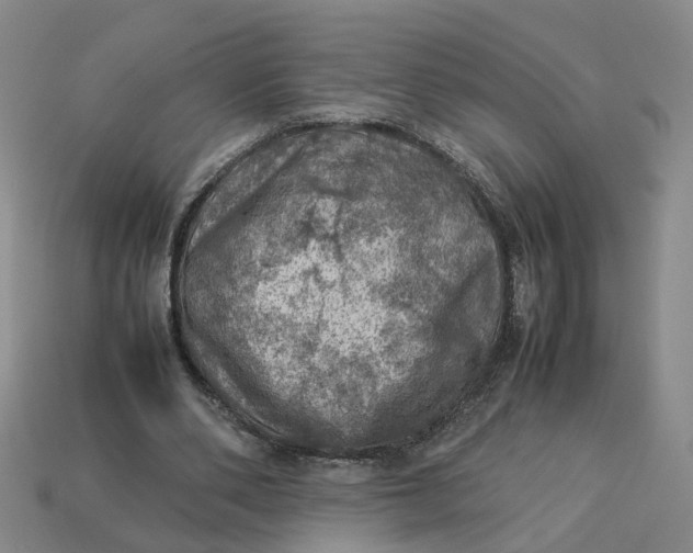 X0000113310486200910051107