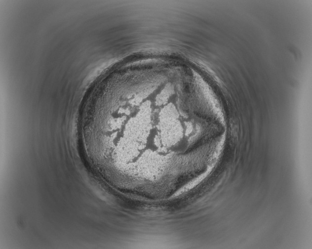 X0000113310487200910051107