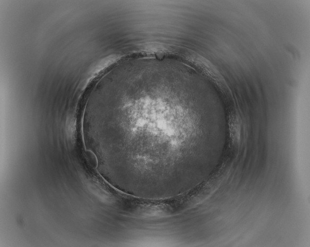 X0000113310488200910051107