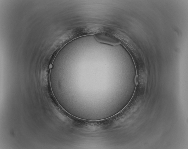 X0000113310489200910051107