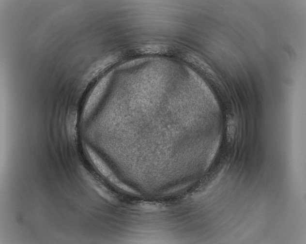 X0000113310490200910051107