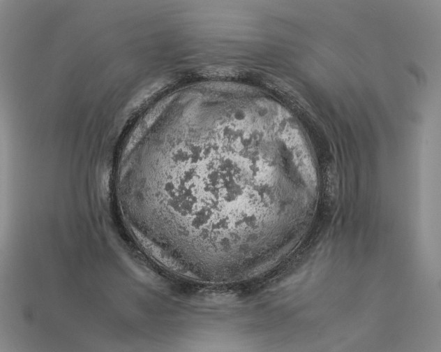 X0000113310491200910051107