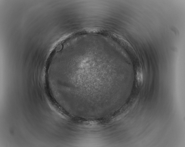 X0000113310492200910051107