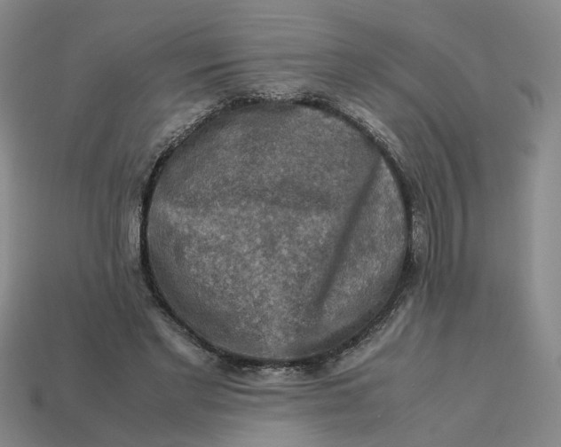 X0000113310493200910051107