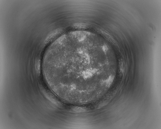 X0000113310494200910051107