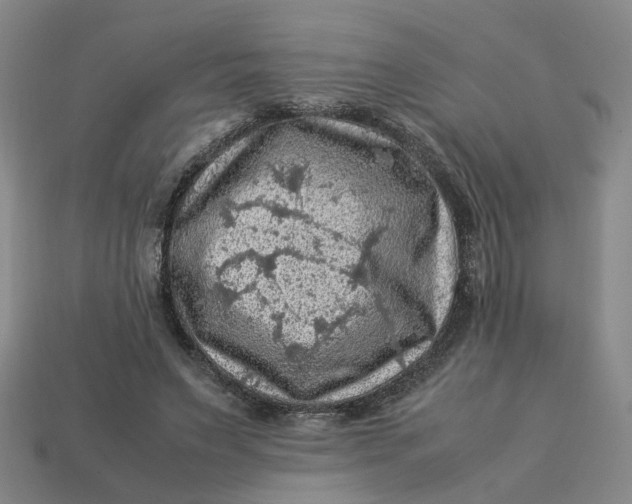 X0000113310495200910051107