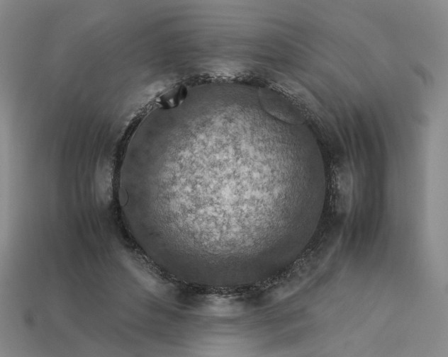 X0000113310496200910051107