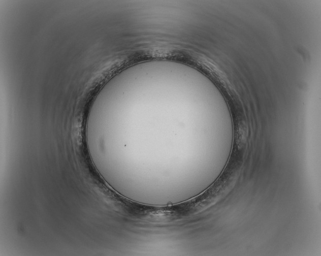 X0000113310497200910051107