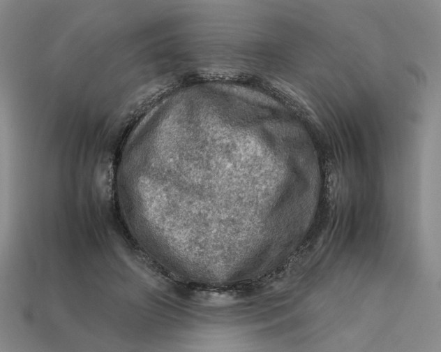 X0000113310498200910051107