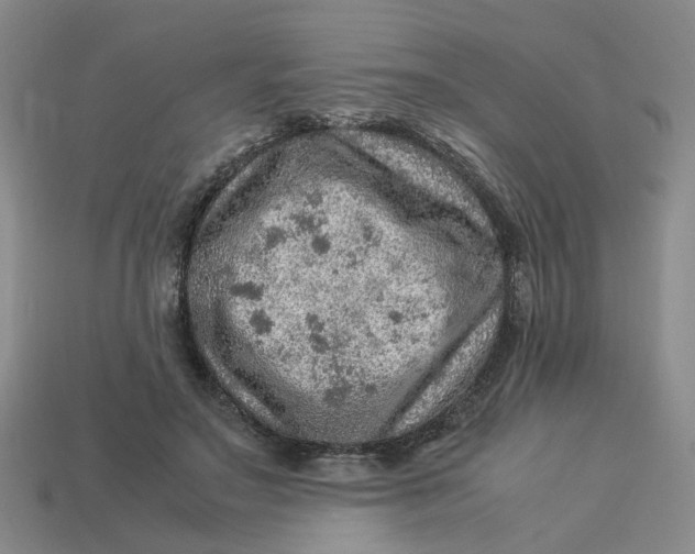 X0000113310499200910051107