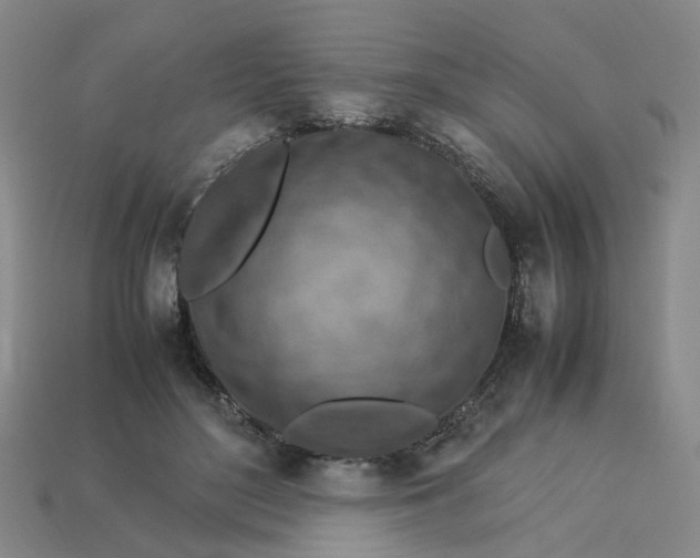 X0000113310500200910051107