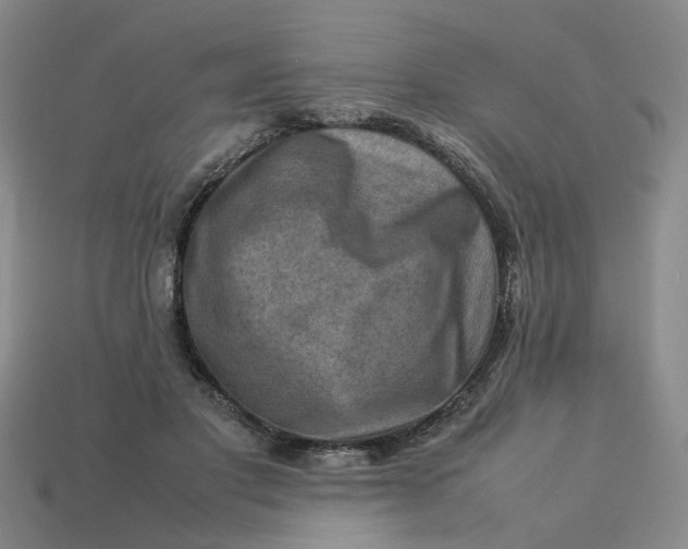 X0000113310501200910051107