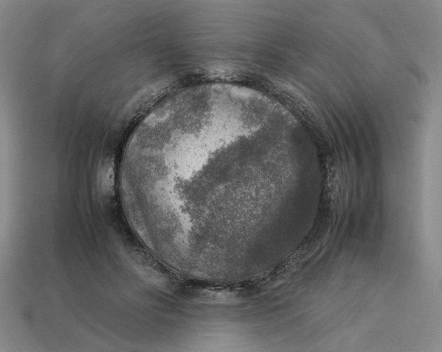 X0000113310502200910051107