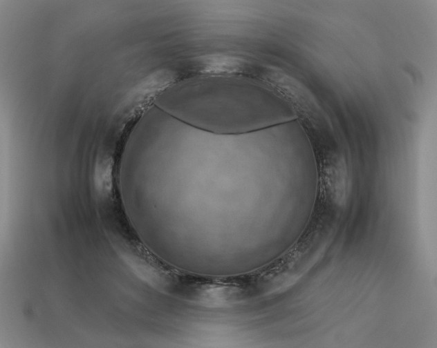 X0000113310504200910051107