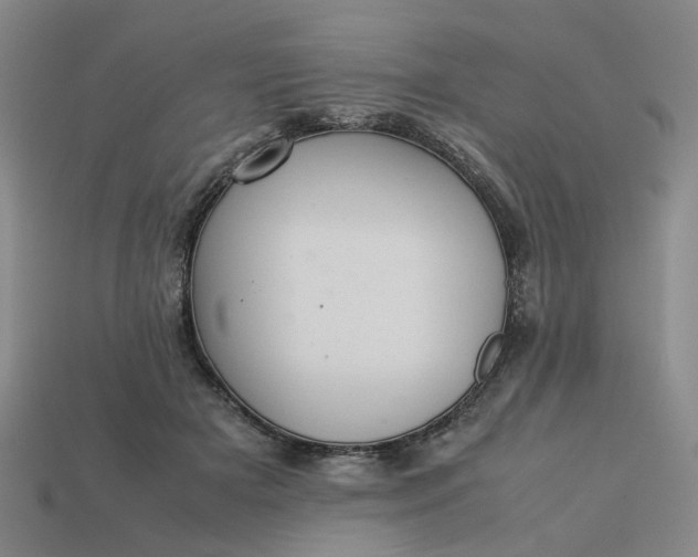 X0000113310505200910051107