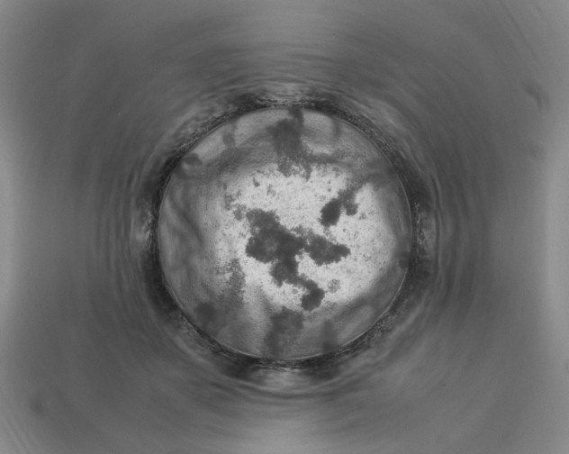 X0000113310507200910051107